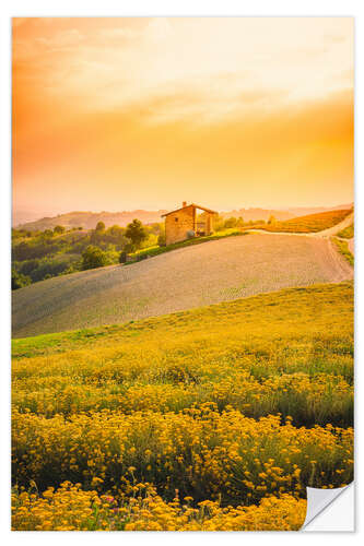 Wall sticker The flowering in Langhe