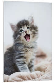 Magnettafel Gähnendes Kätzchen