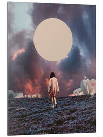 Magnettafel Perlglanzwanderer