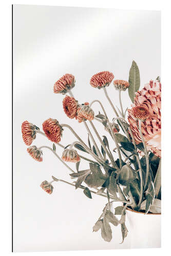 Gallery print Aster