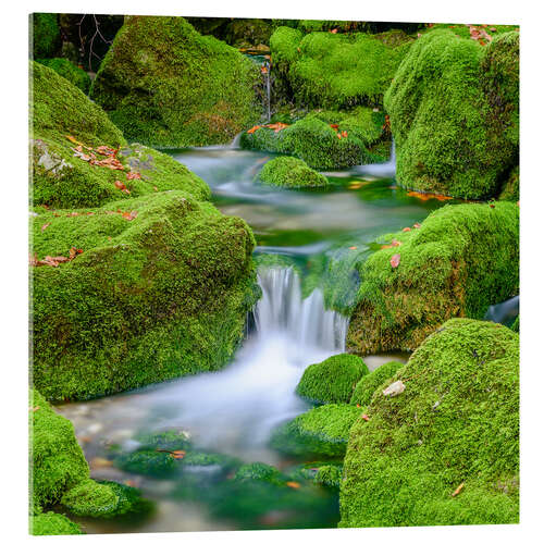 Tableau en verre acrylique Dans le lit vert