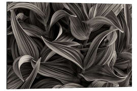 Magnettafel Blätter