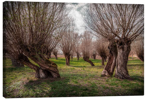 Canvastavla Fairytale forest