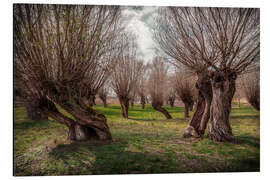 Magnettafel Märchenwald