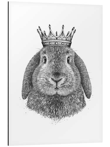 Aluminium print King Rabbit