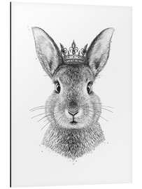 Magnettafel Königin Kaninchen