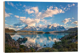 Hout print Torres del Paine National Park, Chile