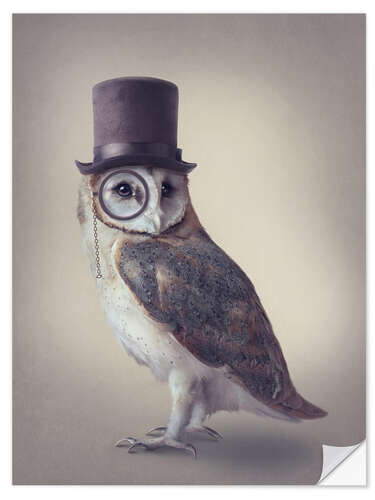 Selvklebende plakat Owl with monocle