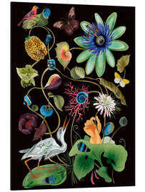 Magnettafel Mitternachtstraum