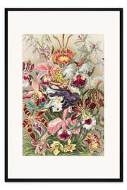 Gerahmter Kunstdruck Orchideennymphe