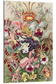 Magnettafel Orchideennymphe