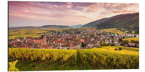 Aluminium print Sunset on the vineyards, Alsace