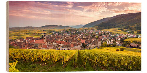 Obraz na drewnie Sunset on the vineyards, Alsace