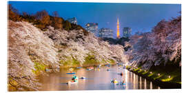 Acrylic print Cherry trees at night, Tokyo