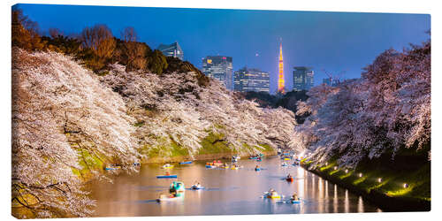 Canvas print Cherry trees at night, Tokyo