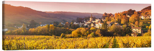 Obraz na płótnie Vineyards in Burgundy, France