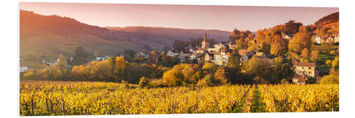 Foam board print Vineyards in Burgundy, France