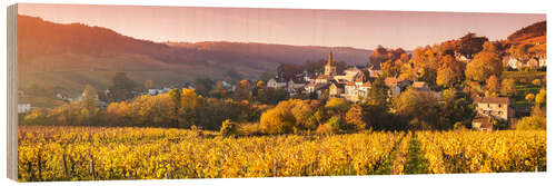 Obraz na drewnie Vineyards in Burgundy, France