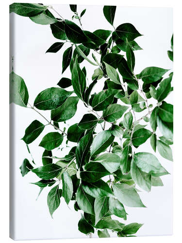 Stampa su tela Green Leaves I