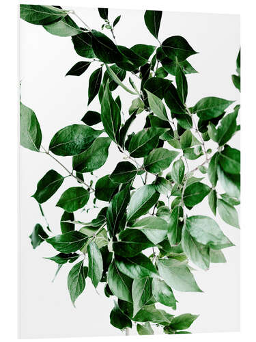 PVC-tavla Green Leaves I