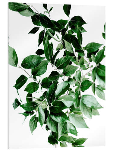 Gallery print Green Leaves I