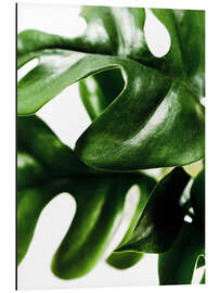 Aluminium print Green Leaves II