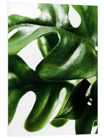 Stampa su PVC Green Leaves II