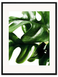 Gerahmter Kunstdruck Green Leaves II