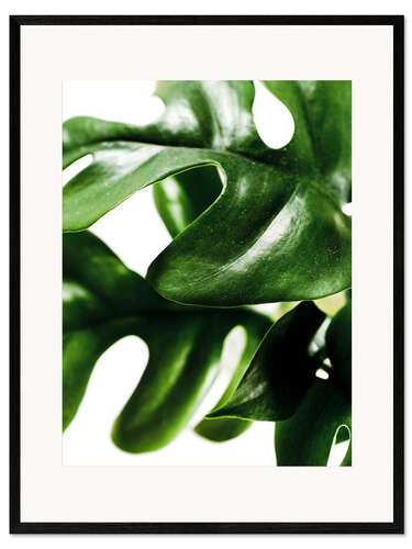 Plakat artystyczny premium w ramie Green Leaves II