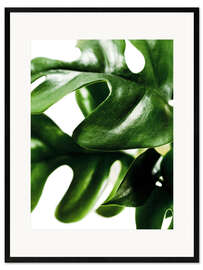 Framed art print Green Leaves II