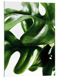 Gallery print Green Leaves II