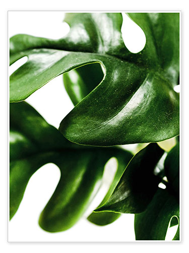 Poster Green Leaves II