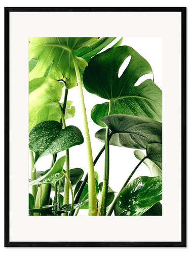 Plakat artystyczny premium w ramie Monstera I