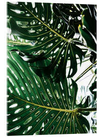 Tableau en verre acrylique Monstera II