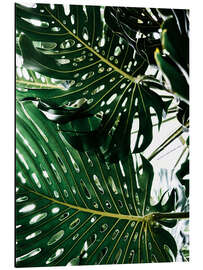 Aluminium print Monstera II