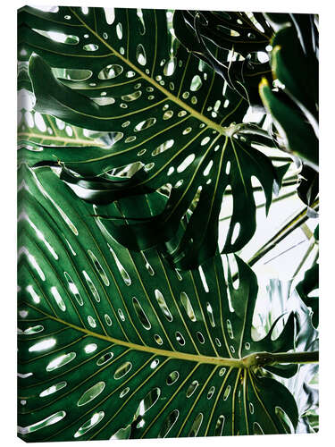 Canvas print Monstera II