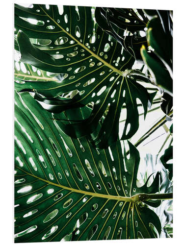 Tableau en PVC Monstera II