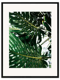 Gerahmter Kunstdruck Monstera II