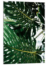 Gallery Print Monstera II