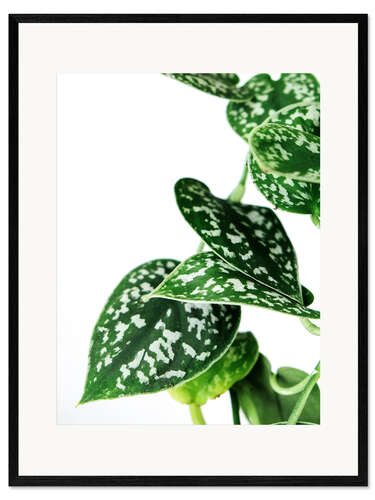 Kehystetty taidepainatus Green Leaves III