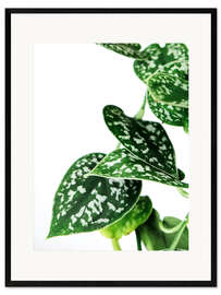 Gerahmter Kunstdruck Green Leaves III