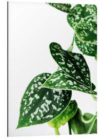 Magnettafel Green Leaves III