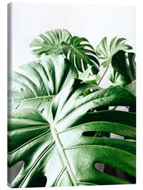 Canvas print Monstera III