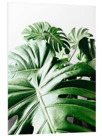 Stampa su PVC Monstera III