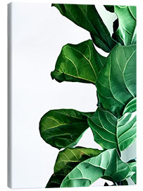 Canvas print Green Leaves IV