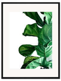 Gerahmter Kunstdruck Green Leaves IV