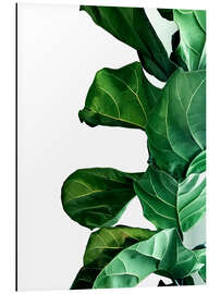 Magnettafel Green Leaves IV