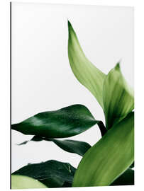 Alubild Green Leaves V