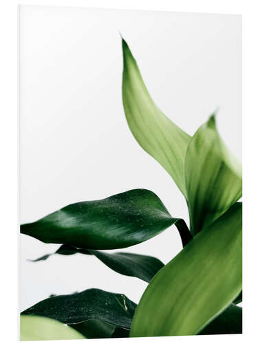 Tableau en PVC Green Leaves V