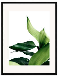 Gerahmter Kunstdruck Green Leaves V